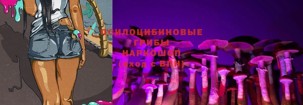молекула духа Алексеевка