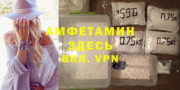 молекула духа Алексеевка