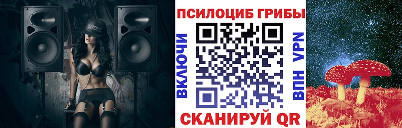 дарк нет формула  Суджа  Галлюциногенные грибы Magic Shrooms  сколько стоит 