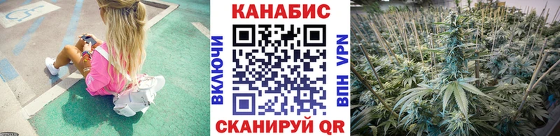 как найти закладки Суджа hydra как войти Шишки марихуана индика